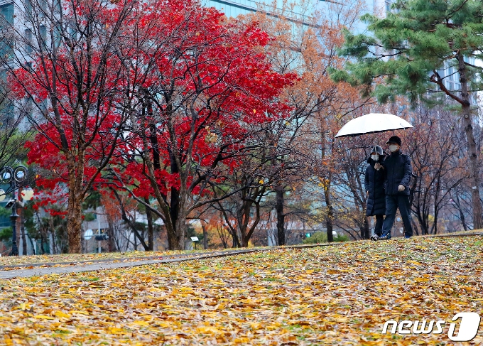 [사진] '가을과 겨울사이'