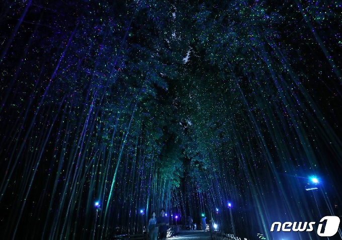 17일 오후 울산 태화강 국가정원 십리대숲에서 시민들이 별을 수놓은 듯한 은하수길을 산책하고 있다. 2019.7.17/뉴스1 © News1 윤일지 기자