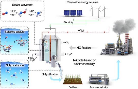 연구팀이 개발한 촉매 시스템을 활용한 질소 순환 모델 개념도 개발된 전기화학적 변환시스템을 이용해 지속 가능한 ‘질소 기반 수소 사이클’을 구축 할 수 있다. 신재생에너지 유래 전기 에너지를 이용해 미세먼지 전구체인 일산화질소(NO)를 유용한 암모니아로 변환시키고 이 암모니아를 비료 생산 및 수소 사회의 그린수소 저장체로서 활용하는 것이다/사진=UNIST