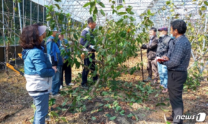 진천군 농업기술센터가 강소농 자율모임체에 컨설팅을 하고 있다.(진천군 제공)© 뉴스1