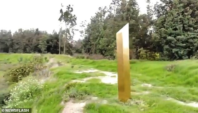 콜롬비아 시골에 나타난 금색 '신비의 기둥' - 데일리메일 갈무리