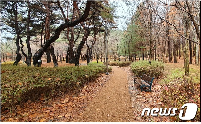 대전 동구 가오근린공원 정비된 산책로(제공= 대전 동구청)© 뉴스1