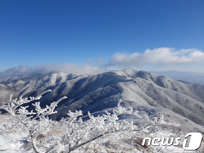 14일 오전 충북 단양군 소백산국립공원에 전날부터 내린 눈이 하얗게 쌓여 있다. 소백산에는 17cm의 눈이 내렸다. (소백산국립공원 북부사무소 제공) 2020.12.14/뉴스1 © News1 김용빈 기자