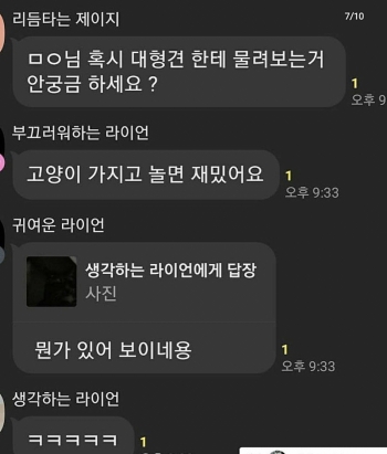 "길고양이 죽이고 낄낄, 카톡방 처벌해달라"…靑 청원 1만명
