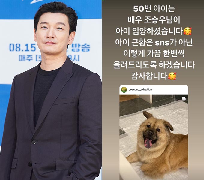 배우 조승우, 조승우가 입양한 강아지/사진=tvN, 경남 고성군 유기동물보호소 인스타그램