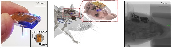 개발된 뇌 이식용 무선 디바이스. (좌) 무선 디바이스의 사진. LED 탐침이 쥐의 뇌에 삽입된 상태에서, 쥐의 두피 안에 완전히 이식된 디바이스의 개념도 (중) 및 X-ray 사진 (우)/사진=KAIST