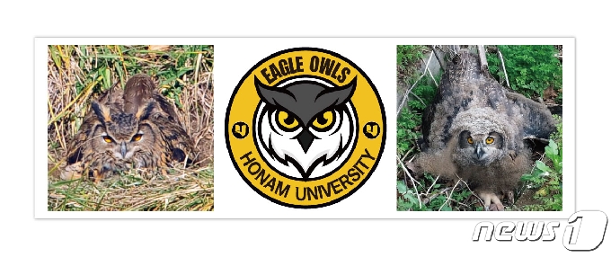 호남대 e스포츠구단 '수리부엉이'(Eagle Owls) 심볼마크(가운데)와 호남대 캠퍼스에서 서식하고 있는 수리부엉이 모습.(호남대 제공)2021.2.24/뉴스1 © News1