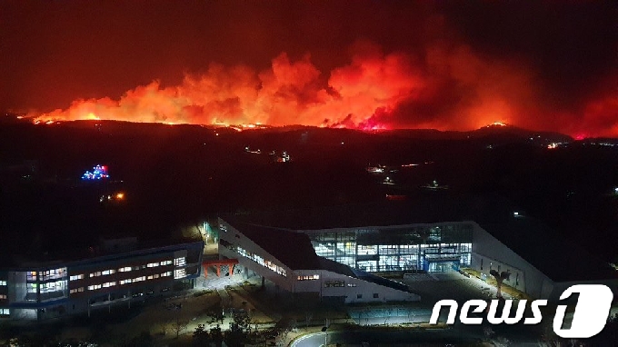 지난 2019년 4일 오후 7시17분쯤 발생한 강원 고성군 토성면 원암리 산불.(자료사진)© News1