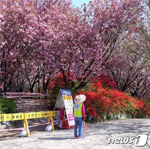 전북 전주시가 완산공원 꽃동산 출입을 다음달 8일까지 전면 통제하기로 했다.(전주시 제공)© 뉴스1