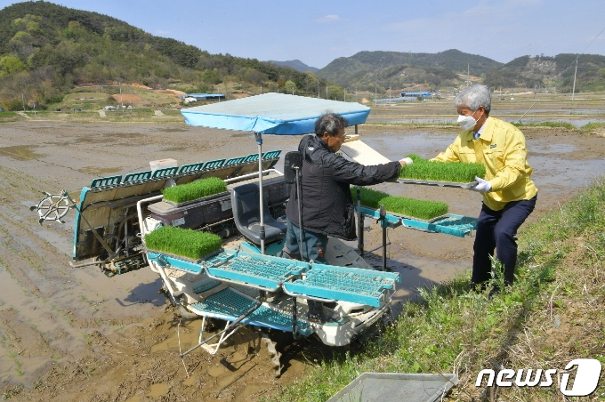 9일 전북 순창군 풍산면 도치마을 박춘원 농가가 올해 첫 모내기를 하고 있다. 순창군 공무원도 모내기 현장을 찾아 일손을 돕고 있다.(순창군 제공)2021.4.9/© 뉴스1