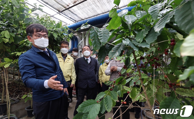 [사진] 전남 화순 커피 재배농가 방문한 허태웅 청장