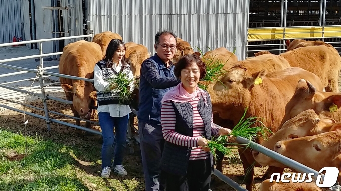 동물복지축산 한우 농장 인증을 받은 해남 만희농장에서 소에게 먹이를 주고 있는 김소영 대표(왼쪽)와 아버지 김성희씨(가운데), 어머니 양만숙씨 모습. 2021.4.17© 뉴스1