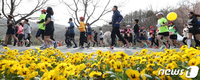 지난 2019년 대청호 벚꽃길 마라톤 대회 모습(대전 동구청 제공)© 뉴스1