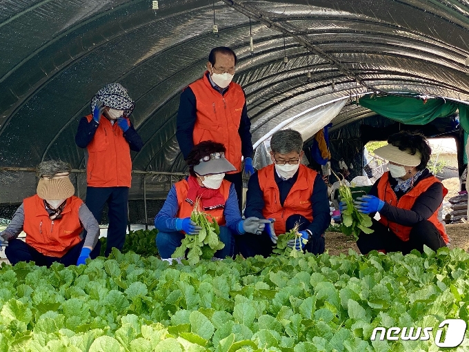 대전농협은 본격적인 영농철을 맞아 오는 6월말까지 범 농협 농촌일손돕기에 나선다.© 뉴스1