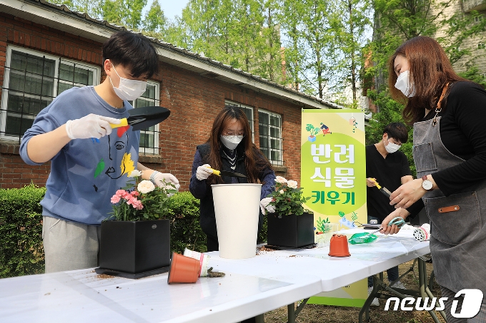 한남대 학생들이 직접 향장미를 심어 자신의 반려식물을 만들고 있는 모습 © 뉴스1