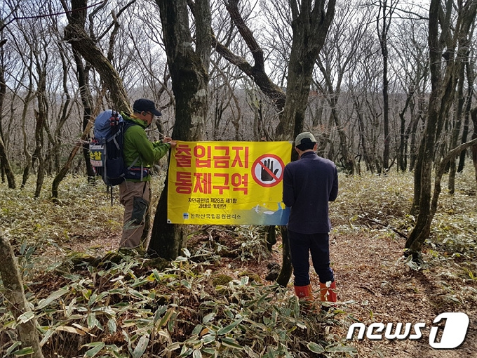 제주 한라산국립공원관리소 직원들이 출입금지 통제구역 현수막을 걸고 있다.(한라산국립공원 관리소 제공)2021.4.25/뉴스1`© News1