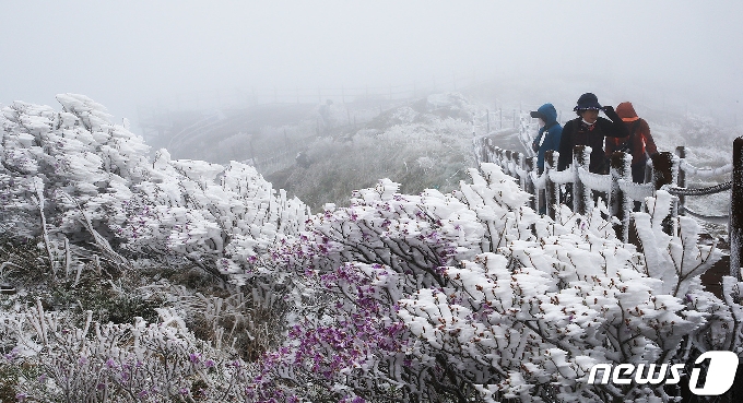 [사진] "봄이야, 겨울이야?" 지리산국립공원에 내린 눈