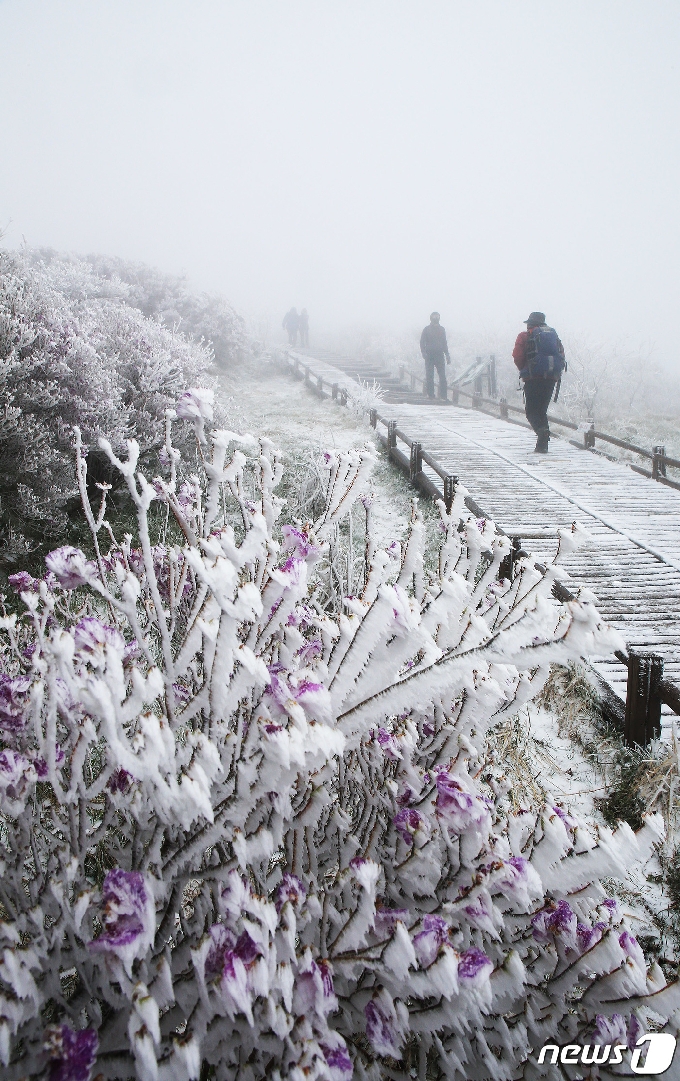 [사진] '아름다운 풍경' 지리산국립공원 노고단에 내린 5월의 눈