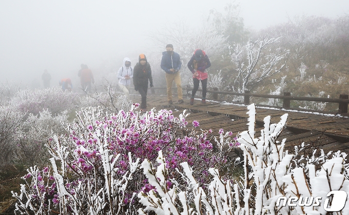 [사진] '아름다운 풍경' 지리산국립공원 노고단에 내린 눈