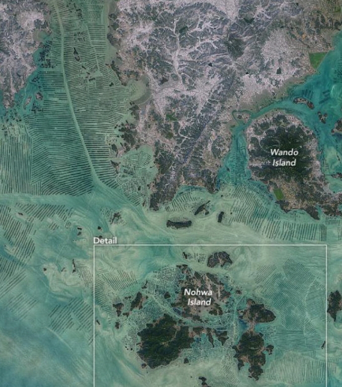 미항공우주국(NASA)가  완도 주변의 해조류 양식장을 촬영한 인공위성 사진. 