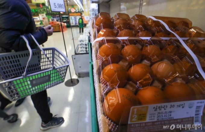 올해 1월 서울 시내 한 대형마트를 찾은 한 고객이 계란을 고르고 있다. /사진=이기범 기자 leekb@