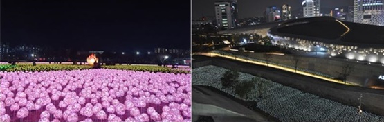 경주 황성공원 빛누리정원(왼쪽), 서울 동대문 디자인플라자 LED장미정원/사진=세강LED