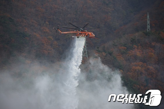 8일 오후 5시31분께 대전 유성구 계산동의 한 야산에서 불이 나 약 50여분 만에 꺼졌다. (자료사진) © 뉴스1