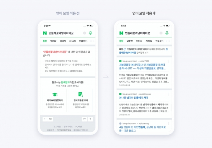 네이버는 한국어 초거대 AI 언어 모델을  검색 서비스에 적용했다./사진=네이버