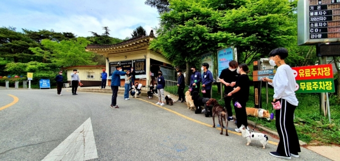 지난달 24일 한국관광공사 전북지사에서 진행한 반려동물 동반 캠핑에서 산책을 통한 행동교정 프로그램에 참여한 여행객과 반려견의 모습. /사진=한국관광공사