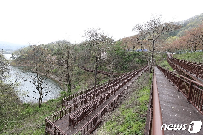 전북 임실군이 옥정호 탐방로를 '옥정호 물안개길'로 통칭한다는 계획을 밝혔다./© 뉴스1