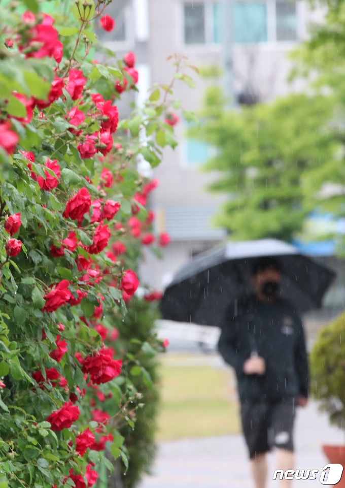 18일 충북·세종지역은 오전 한때 빗방울이 떨어지겠다. (사진은 기사 내용과 무관함) / 뉴스1 © News1
