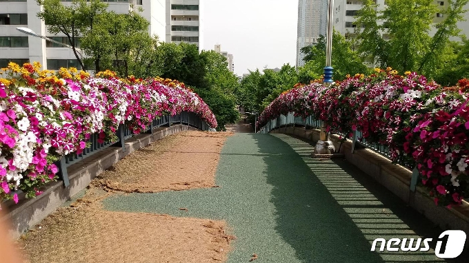 달안동육교 꽃장식. © 뉴스1