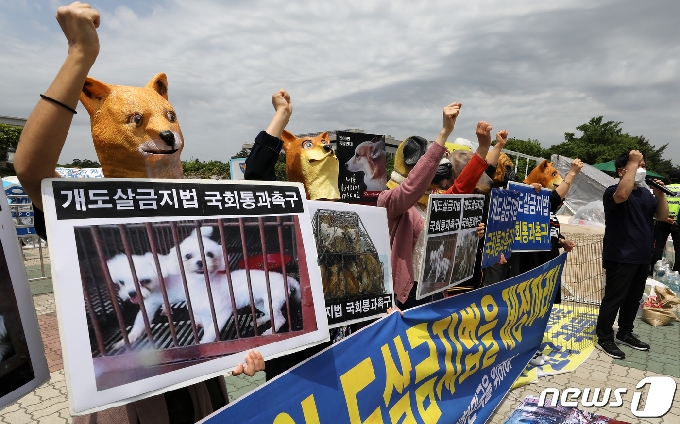 [사진] '개도살 금지법' 외치는 한국동물보호연합