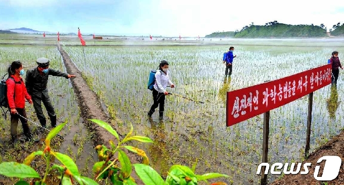 [사진] 농사 중인 북한 "과학농법을 적극 받아들이자"