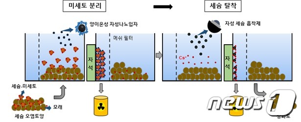 자성 분리기술을 이용해 방사성 오염토양으로부터 세슘을 선택적으로 제거하는 모식도(원자력연 제공) © 뉴스1