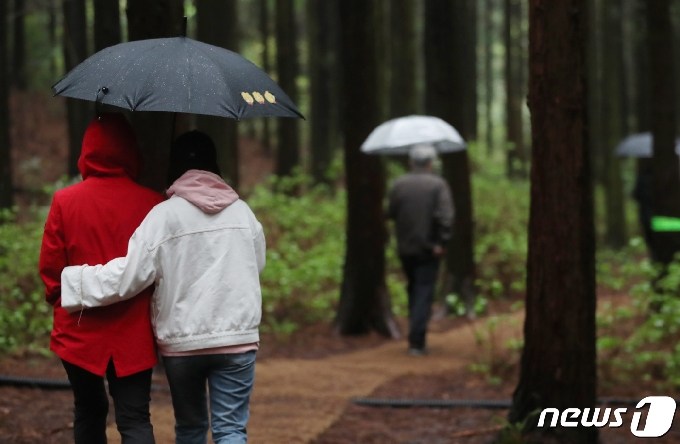 우산을 쓴 관광객들이 제주 사려니숲길을 거닐고 있다..2020.4.17/뉴스1 © News1 오현지 기자