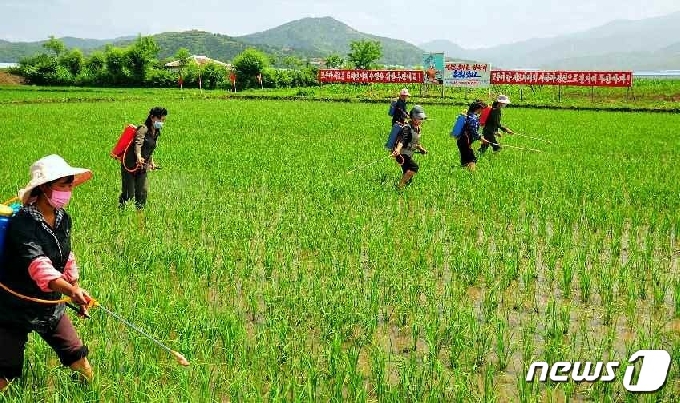 [사진] 북한 "알곡생산 계획 완수, 첫째도 둘째도 과학농사"