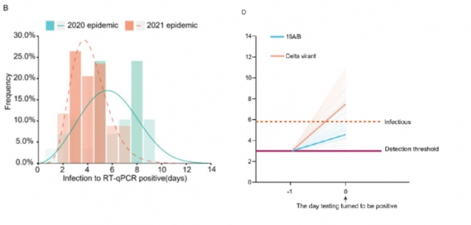 바이러스가 검출되는데 걸린 시간(B)과 검출된 바이러스 양(D)을 나타낸 논문 그래프. /자료='Viral infection and transmission in a large well-traced outbreak caused by the Delta SARS-CoV-2 variant' 논문