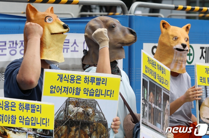 초복인 지난 11일 한국동물보호연합과 한국채식연합 회원들이 개 가면을 쓰고 개 도살 중단 촉구 기자회견을 하고 있다/사진=뉴스1