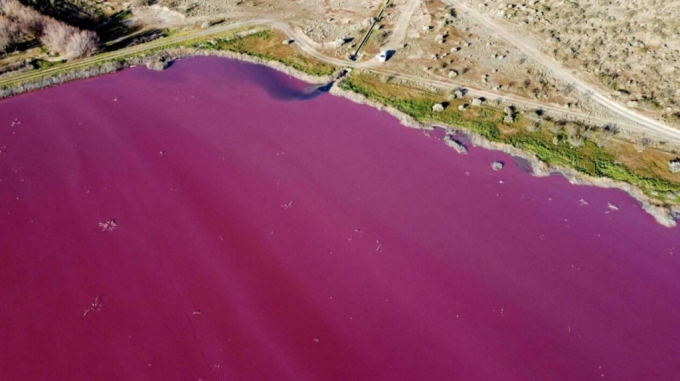 아르헨티나 남부의 한 호수 색깔이 분홍빛으로 물들며 화제가 된 가운데, 화학물질로 인한 오염이 원인으로 추정되고 있다. /사진=AFP/뉴시스