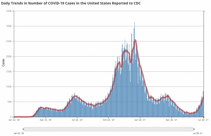 미국의 일일 확진자 수 추이/사진=미국 질병통제예방센터(CDC) 홈페이지 캡처