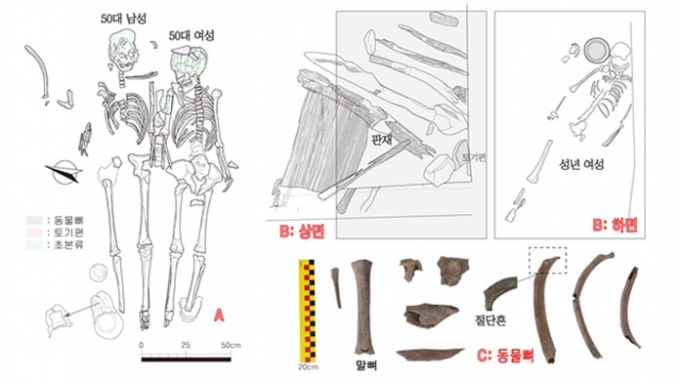 2017년 발굴된 남녀 인골(왼쪽)과 올해 추가 조사에서 발견된 성년 여성의 인골. 인신공희에 함께 쓰인 동물뼈 등도 발견됐다. /사진제공=문화재청