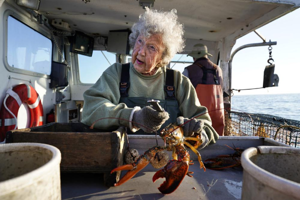 미국 버지니아주에서 랍스터를 잡는 세계 최장수 할머니. /사진=AP/뉴시스