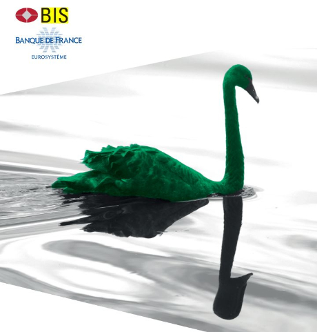 BIS 2020 1 ǥ &#039;׸(The green swan)&#039;  ǥ /=BIS