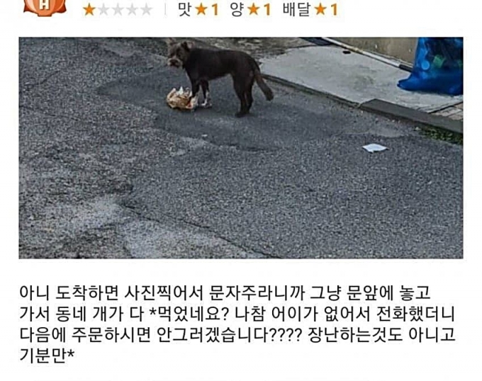 주문한 햄버거를 배달원이 문 앞에 두고 간 탓에 동네 개가 먹었다는 사연이 전해졌다./사진=온라인 커뮤니티