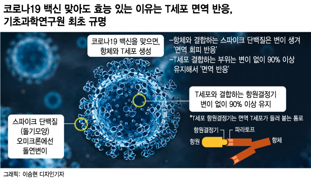 [단독] 물백신 논란에도 맞아야하는 이유…韓 과학자가 비밀 풀었다