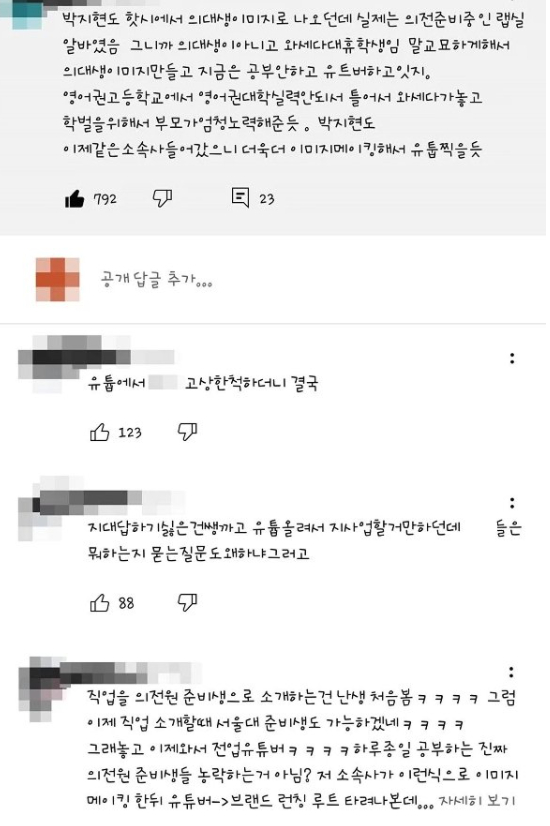 사진=유튜브 채널 'day 지현' 댓글 일부 캡처
