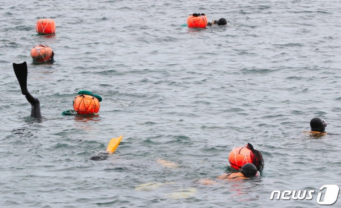 2019년 7월 11일 제주시 이호동 해안에서 해녀들이 해산물을 채취하고 있다. /사진=뉴스1