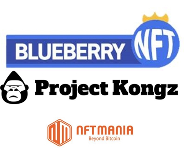 블루베리NFT, 메타콩즈와 'K리그 PFP 프로젝트' 공동 마케팅 진행