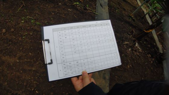 제이디테크 바나나 데이터팜에서 나무 상태를 매일 정해진 시간에 맞춰 수기로 기록한다/사진=류준영 기자